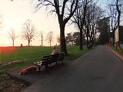 58 Viale delle mura venete alberato